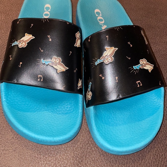 Coach slides - Picture 5 of 6